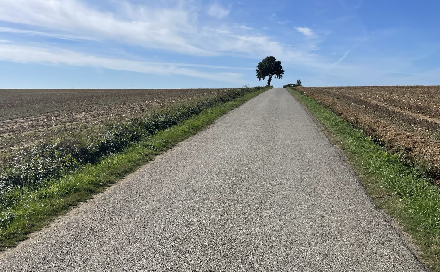 Een smalle landweg tussen de akkers loopt recht naar &eacute;&eacute;n boom op de horizon: kilometer duizend.