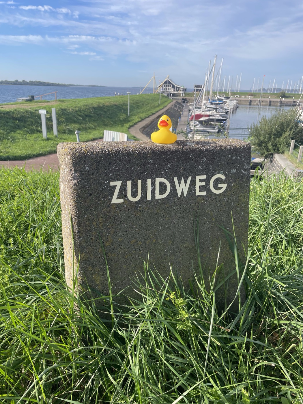 De badeend op een stenen paal met het woord ZUIDWEG