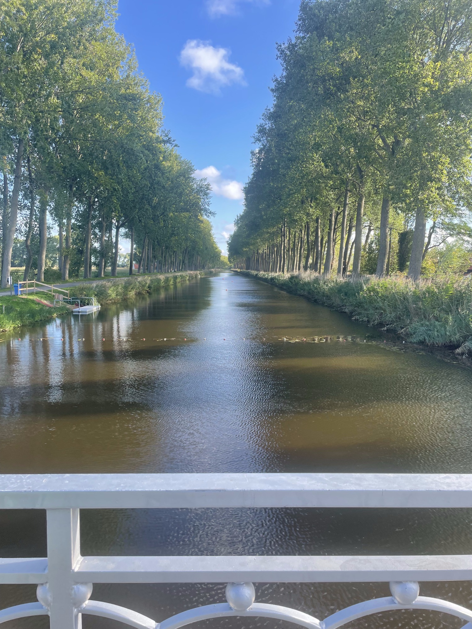 Een recht kanaal met bomen aan weerszijden